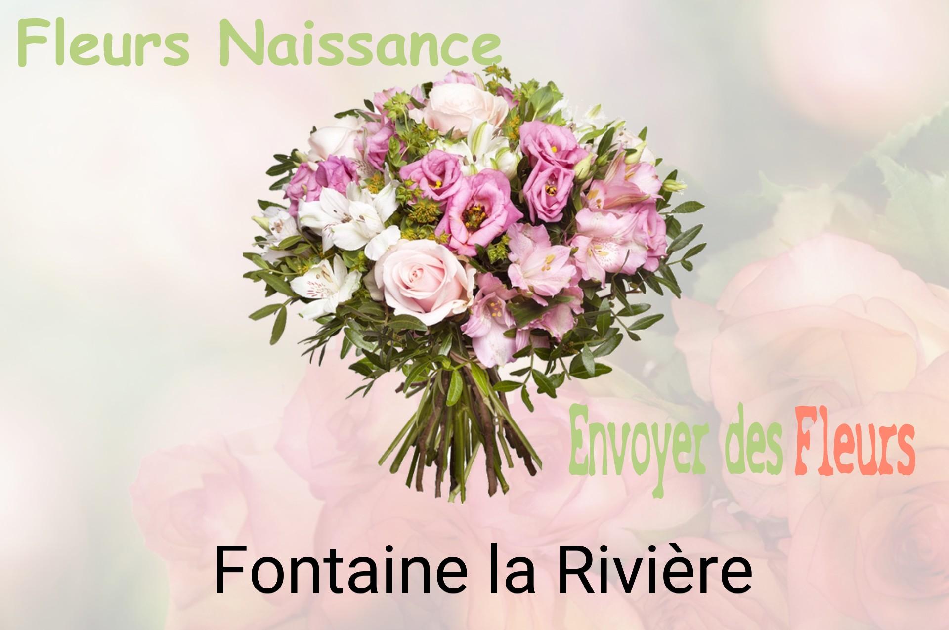 Bouquet de fleurs de naissance livré à Fontaine-la-Rivière